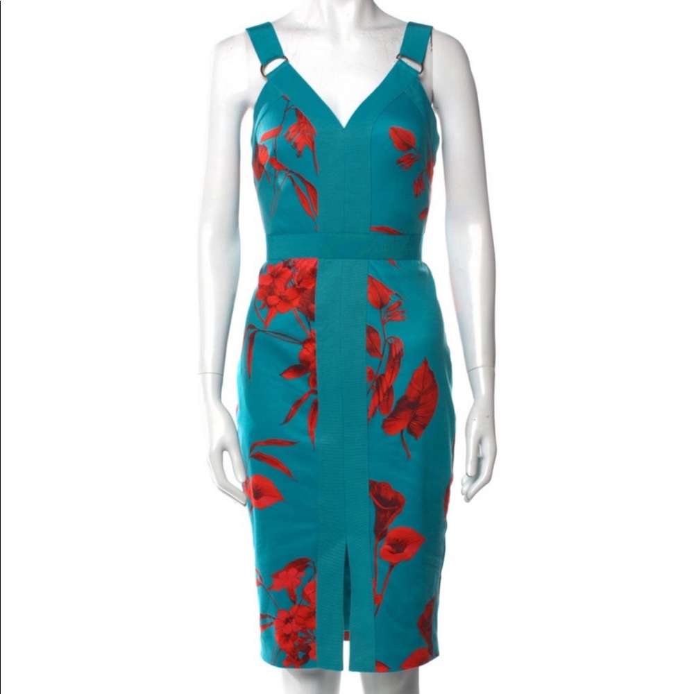 Ted Baker Sheat Dress